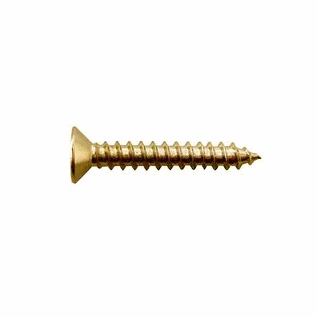 Hosco TS-05G Screw, gold 3.5x25mm