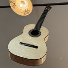 10-dňový kurz výroby gitár