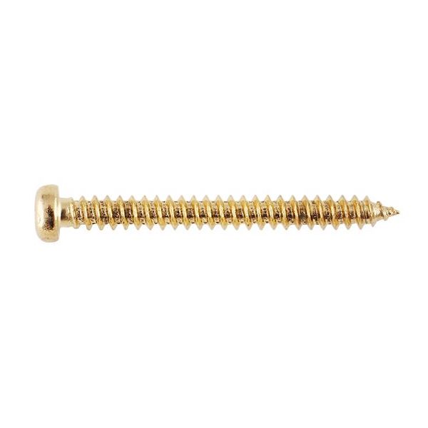 Hosco PS10G Screw, gold 2.6x25mm