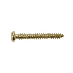 Hosco PS15G Skrutka Pozlátená 3x24.6mm
