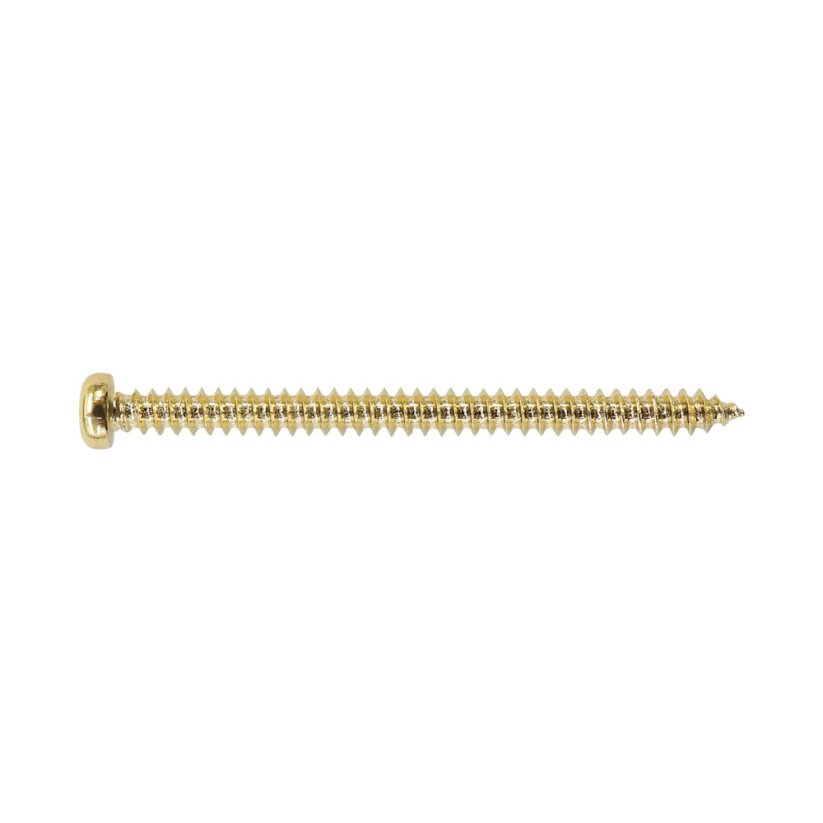 Hosco PS12G Screw, gold 2.6x35mm