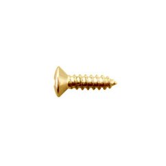 Hosco TS-01G Skrutka Pozlátená 3x11.5mm