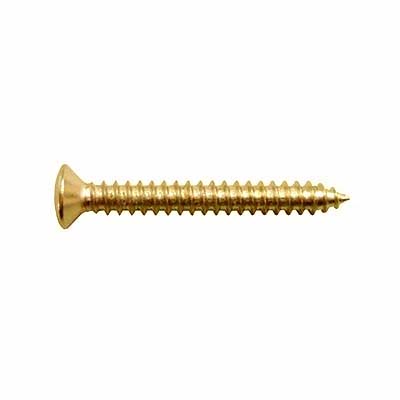 Hosco TS-02G Screw, gold 3x25mm