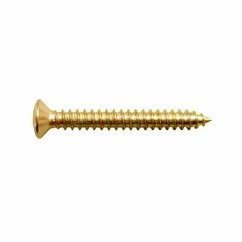 Hosco TS-02G Screw, gold 3x25mm