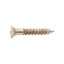 Hosco MRC-MRSCWNL Vrut, nikl 2,4x16 mm