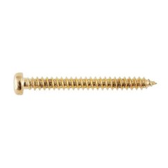 Hosco PS10G Vrut, zlatý 2,6x25 mm