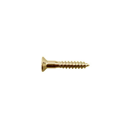 Hosco WS-09G Screw, gold 3.8x25mm