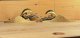 Hand plane explained: Understanding Bedding Angles