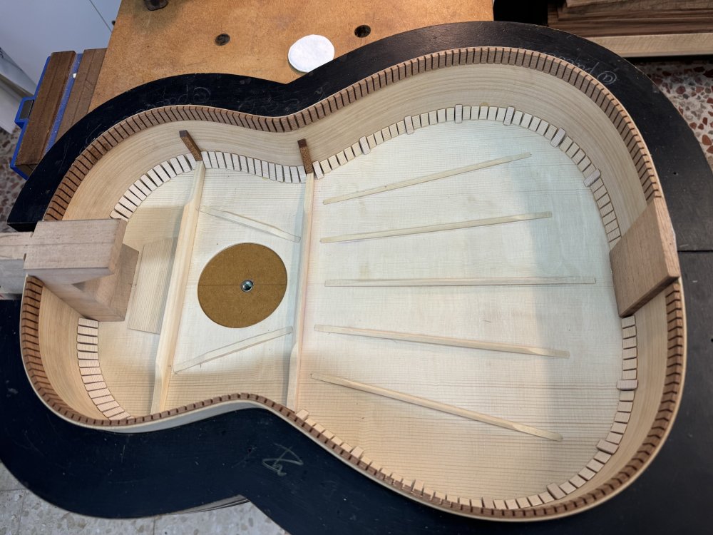 Traditional Flamenca Blanca guitar under construction